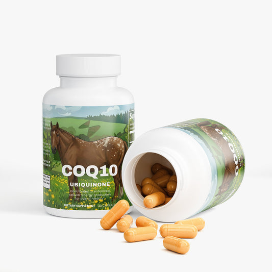CoQ10 Ubiquinone