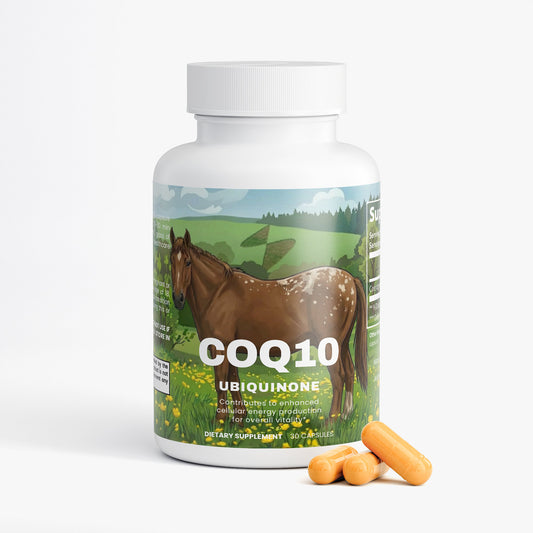 CoQ10 Ubiquinone
